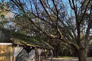 53400 Hixson Rd, Stockton, AL 36579 - Photo 21