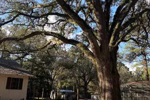 53400 Hixson Rd, Stockton, AL 36579 - Photo 31