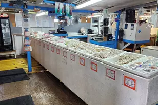 16780 River Rd, Bon Secour, AL 36511 - Photo 11