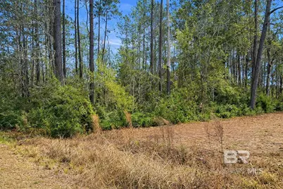 818 Twin Bridges Road, Flomaton, AL 36441 - Photo 29