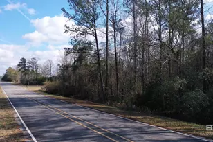 818 Twin Bridges Rd, Flomaton, AL 36441 - Photo 3