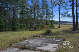 818 Twin Bridges Rd, Flomaton, AL 36441 - Photo 25