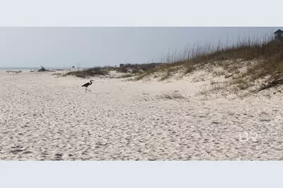 453 Dune Drive #110, Gulf Shores, AL 36542 - Photo 35