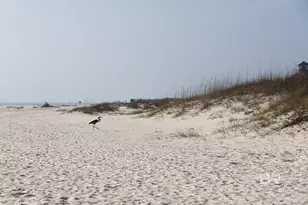 453 Dune Dr, Gulf Shores, AL 36542 - Photo 35