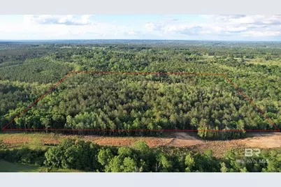 0 Pleasant Hill Road, Century, FL 32535 - Photo 9