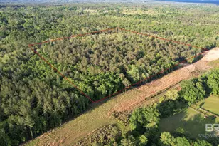 0 Pleasant Hill Rd, Century, FL 32535 - Photo 3