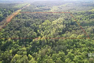 0 Pleasant Hill Rd, Century, FL 32535 - Photo 7