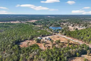 12751 Beverly Jeffries Hwy, Citronelle, AL 36522 - Photo 89