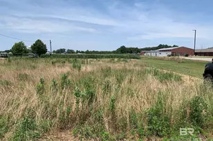 1 County Road 54, Daphne, AL 36526 - Photo 1