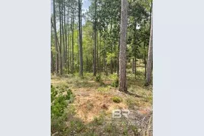 0 Elderberry Drive, Daphne, AL 36526 - Photo 1