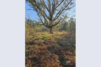 29640 US Highway 98, Elberta, AL 36530 - Photo 5