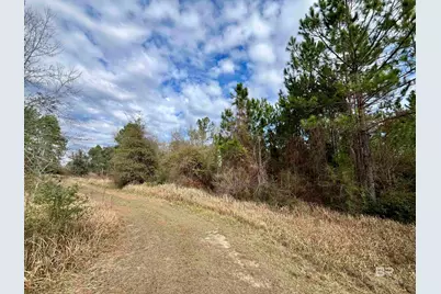 0 Montelucia Way, Daphne, AL 36526 - Photo 3