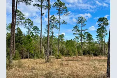 0 Montelucia Way, Daphne, AL 36526 - Photo 9