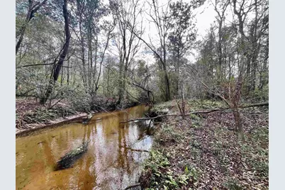 0 Montelucia Way, Daphne, AL 36526 - Photo 21