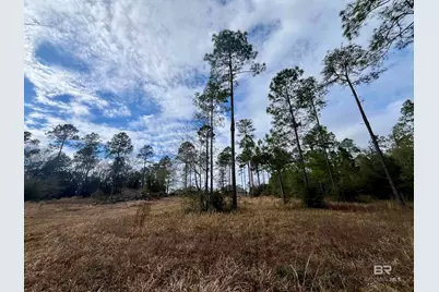 0 Montelucia Way, Daphne, AL 36526 - Photo 13