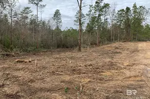 0 Jimmy Faulkner Dr, Spanish Fort, AL 36527 - Photo 1