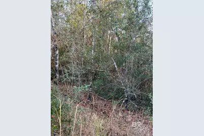 0 Jimmy Faulkner Drive, Spanish Fort, AL 36527 - Photo 5