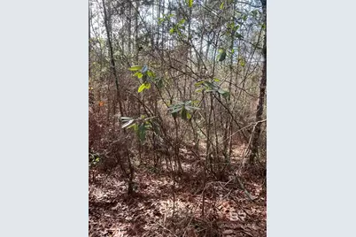 0 Jimmy Faulkner Drive, Spanish Fort, AL 36527 - Photo 7