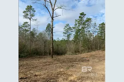 0 Jimmy Faulkner Drive, Spanish Fort, AL 36527 - Photo 3
