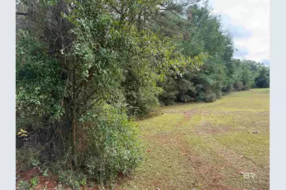 0 Pine Acres Road, Gulf Shores, AL 36542 - Photo 3