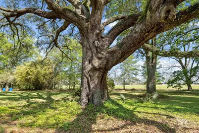 10407 Lala Road, Daphne, AL 36526 - Photo 37