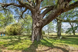 10407 LaLa Rd, Daphne, AL 36526 - Photo 37