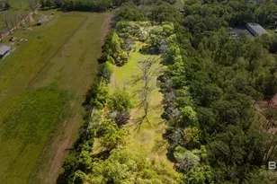 10407 LaLa Rd, Daphne, AL 36526 - Photo 43