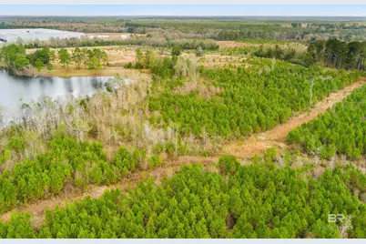 30380 County Road 49, Loxley, AL 36551 - Photo 3