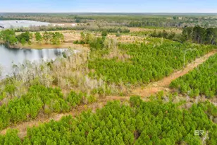 30380 Co Rd 49, Loxley, AL 36551 - Photo 3