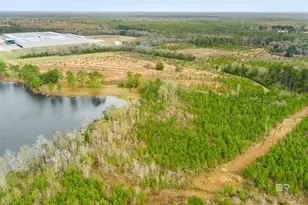 30380 Co Rd 49, Loxley, AL 36551 - Photo 3