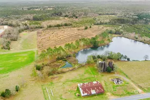 30380 Co Rd 49, Loxley, AL 36551 - Photo 11