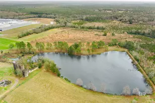 30380 Co Rd 49, Loxley, AL 36551 - Photo 9