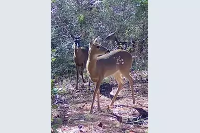 40980 Highway 225, Bay Minette, AL 36507 - Photo 43