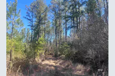 9 Robinsonville Road, Atmore, AL 36502 - Photo 25