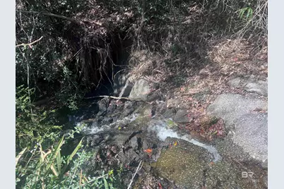 9 Robinsonville Road, Atmore, AL 36502 - Photo 27