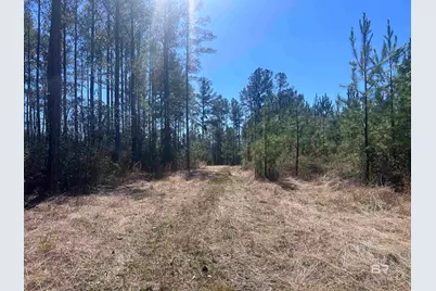 9 Robinsonville Road, Atmore, AL 36502 - Photo 23