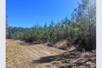 9 Robinsonville Road, Atmore, AL 36502 - Photo 21