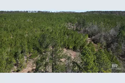 9 Robinsonville Road, Atmore, AL 36502 - Photo 13