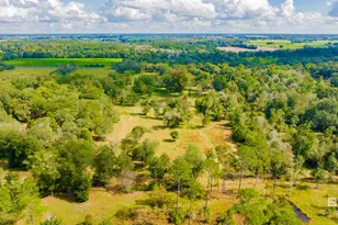 17333 Co Rd 55, Summerdale, AL 36580 - Photo 43