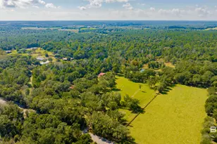 17433 Co Rd 55, Summerdale, AL 36580 - Photo 45