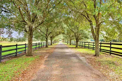 17425 County Road 55 #30 Acres, Summerdale, AL 36580 - Photo 23