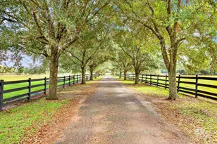 17425 Co Rd 55, Summerdale, AL 36580 - Photo 23