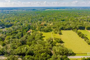 17425 Co Rd 55, Summerdale, AL 36580 - Photo 93