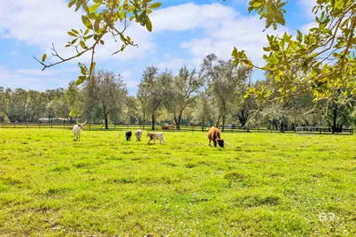 17425 County Road 55 #30 Acres, Summerdale, AL 36580 - Photo 21