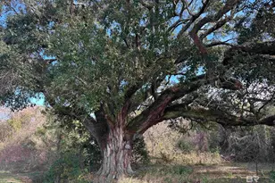 26702 W County Road 54, Daphne, AL 36526 - Photo 1