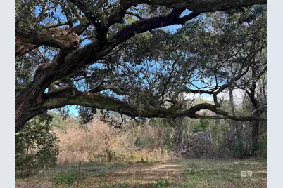 26702 W County Road 54, Daphne, AL 36526 - Photo 3