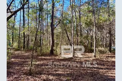 10724 County Road 1, Fairhope, AL 36532 - Photo 15