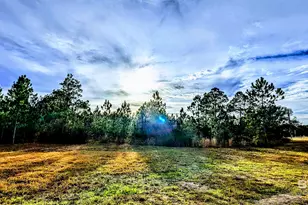 0 Royal Ln, Elberta, AL 36530 - Photo 1