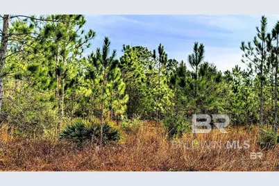 0 Royal Lane, Elberta, AL 36530 - Photo 7