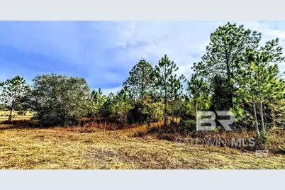 0 Royal Lane, Elberta, AL 36530 - Photo 3